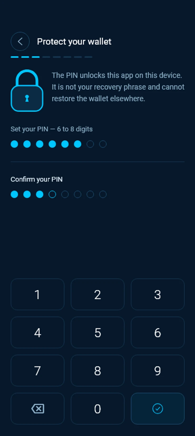 Protect your wallet, setting and confirming a PIN of 6 to 8 digits.