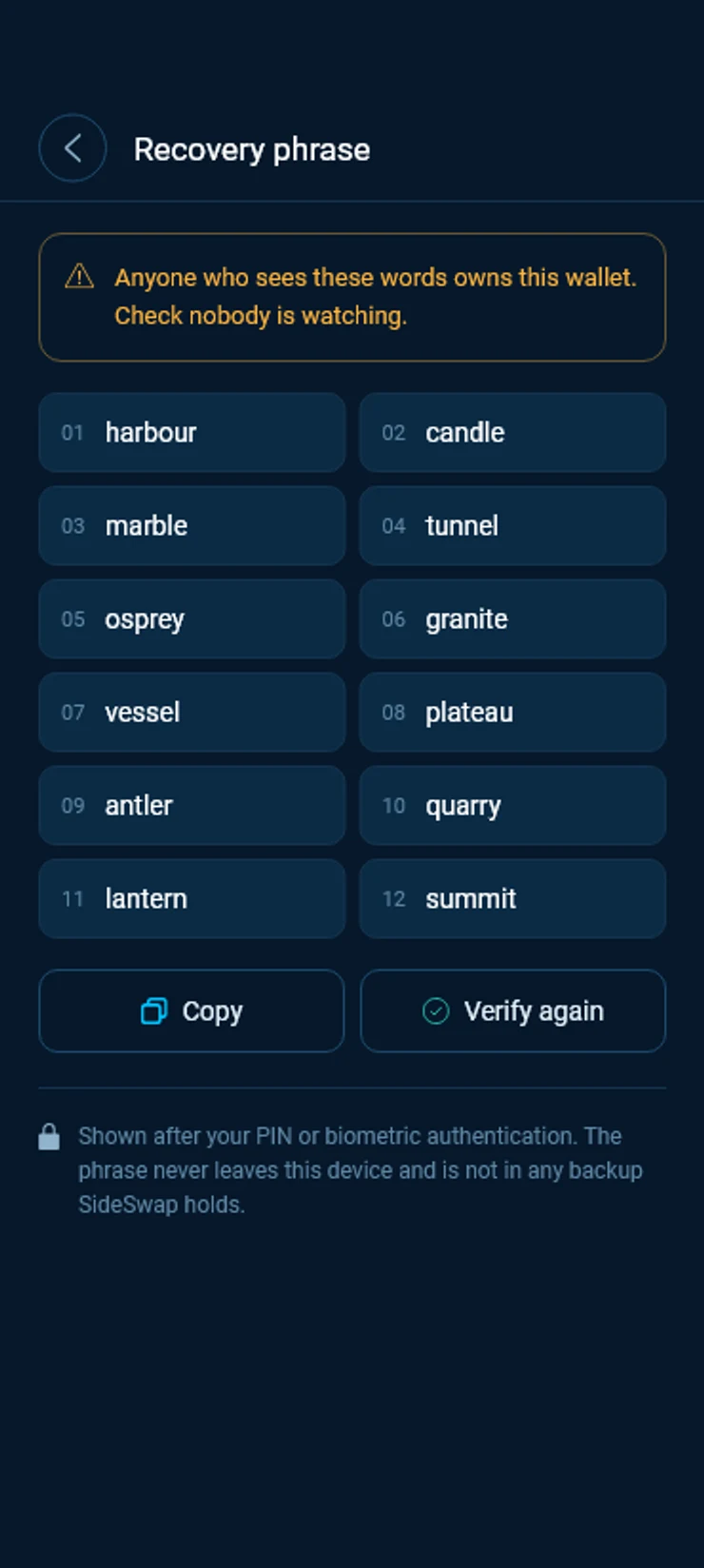 The recovery phrase in Settings with the warning Anyone who sees these words owns this wallet. Check nobody is watching.